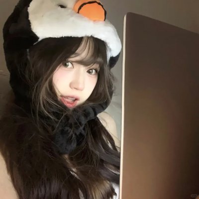 冰原小恐龙