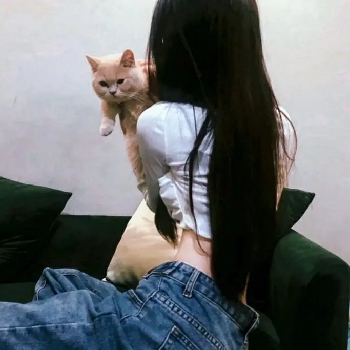 大秦赋